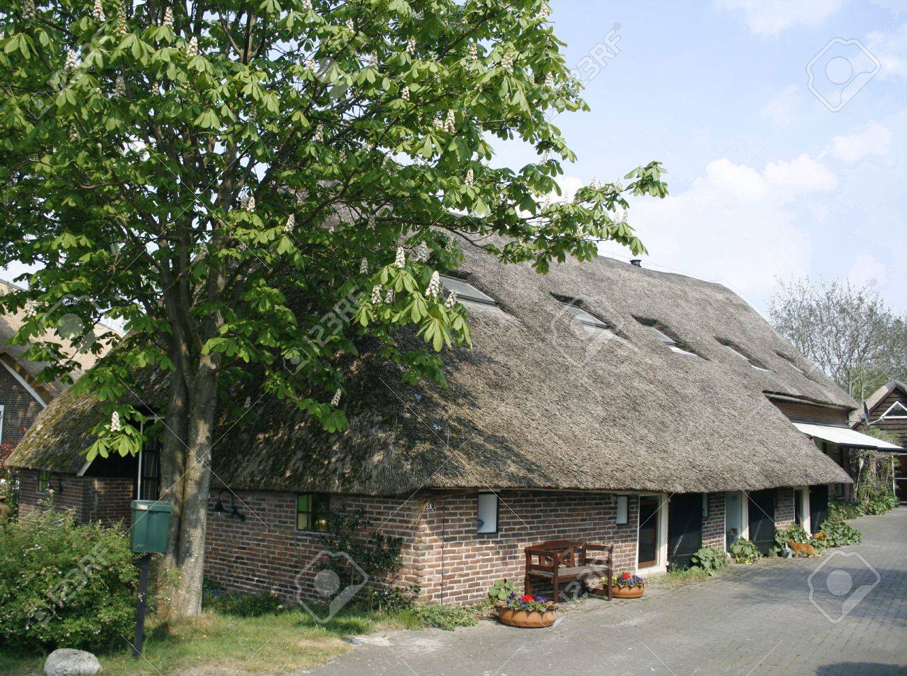 Old English Style Cottage With A Thatched Roof Stock Photo Picture And Royalty Free Image Image