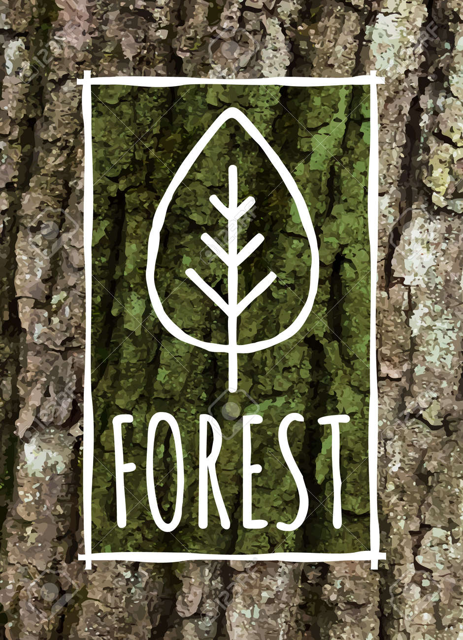 森の葉っぱの看板と現実的な樹皮のテクスチャーのイラスト素材 ベクタ Image