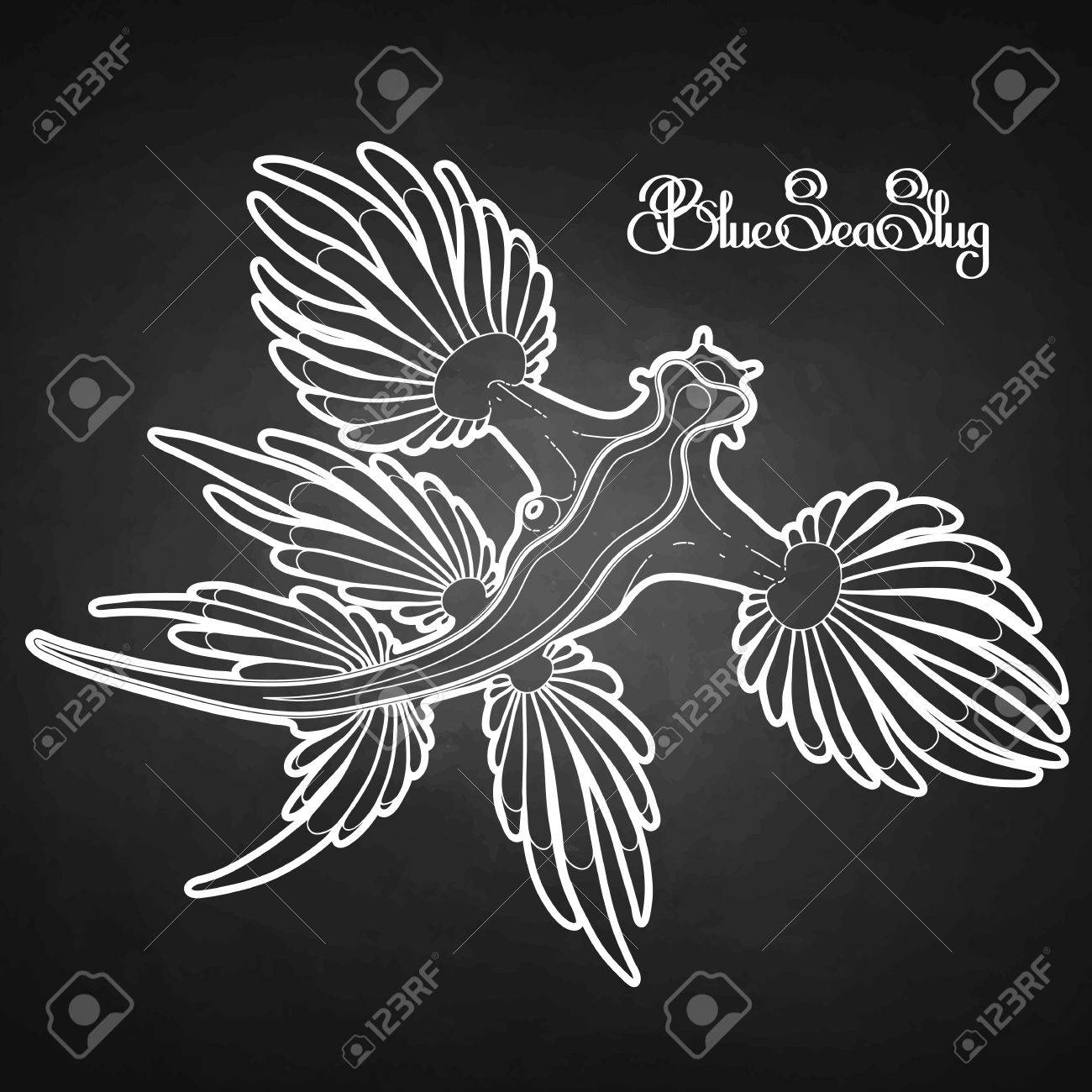 グラウクス アトランティクス 青ウミウシ線アート スタイルで描画します 青いドラゴン 海の天使 ベクトル海洋生物分離黒板のイラスト素材 ベクタ Image グラウクス アトランティクス 青ウミウシ線アート スタイルで描画します 青いドラゴン 海の天使 ベクトル海洋生物分離黒板のイラスト素材 ベクタ Image