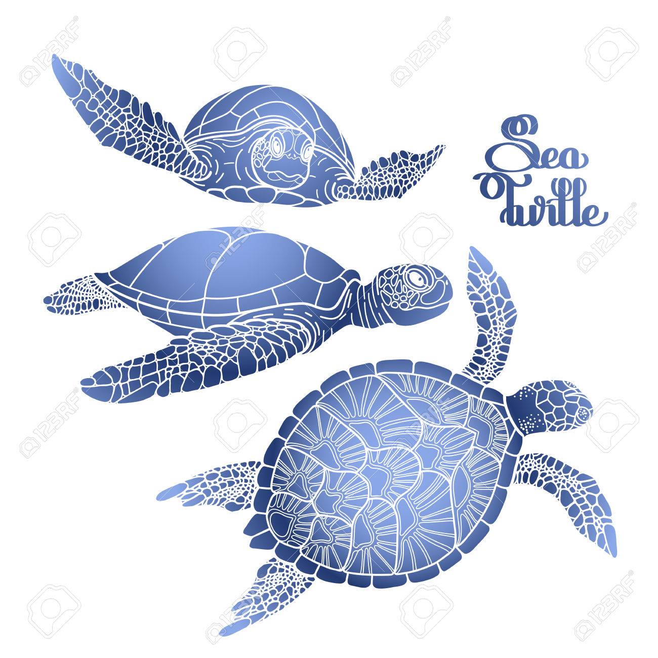 Graphic Hawksbill Sea Turtle Collection Drawn In Line Art Style - Graphic Hawksbill Sea Turtle Collection Drawn In Line Art Style