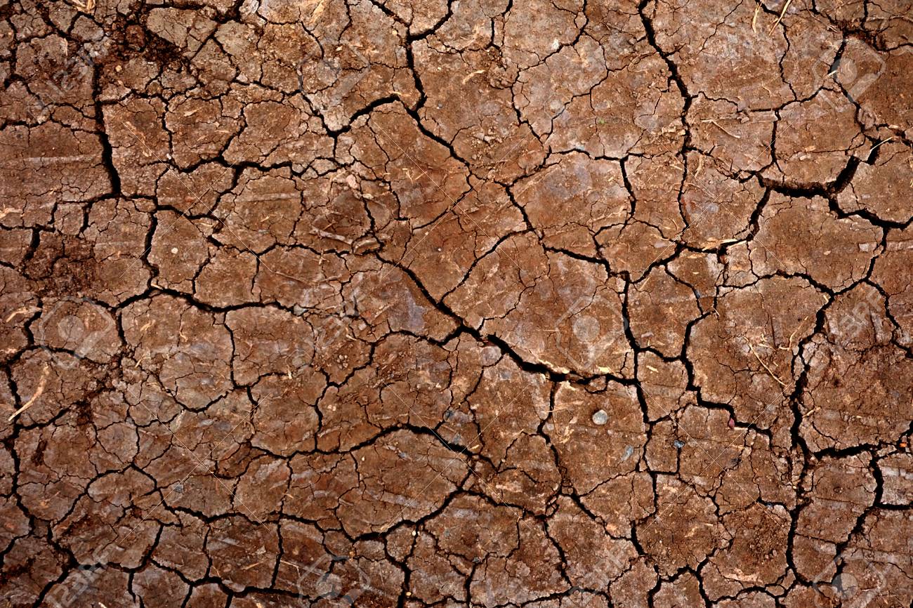 1500 Ground Pictures Download Free Images on Unsplash