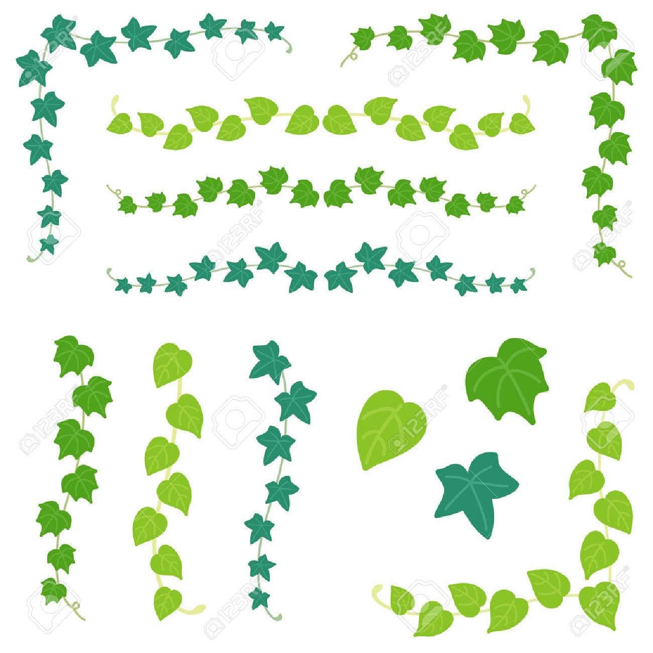 Set Of Ivy Branch Royalty Free Cliparts Vectors And Stock Illustration Image