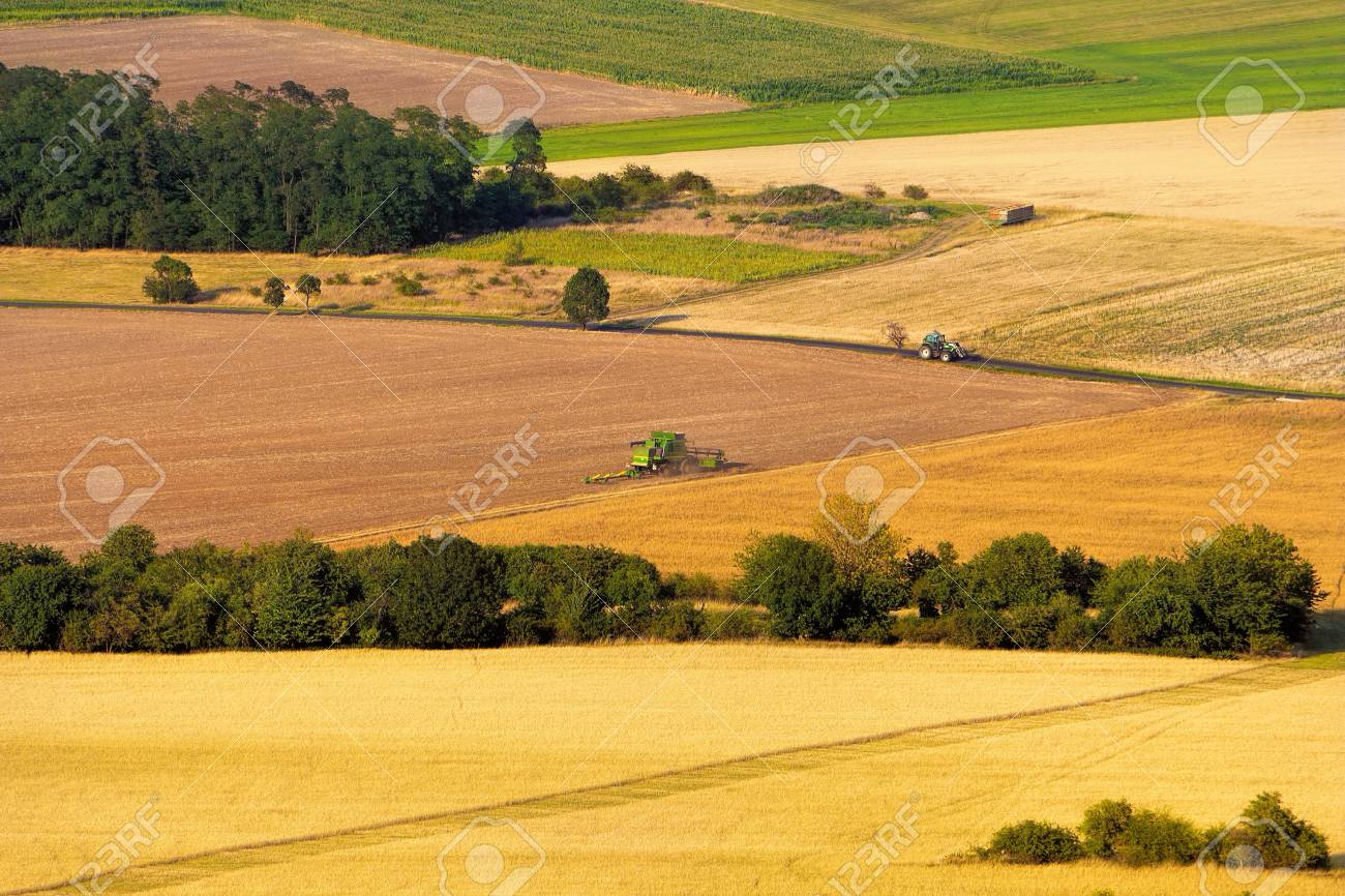 Modern harvest time, combine harvester working on colorful fields, beautiful lines, aerial view. - 105247912 Modern harvest time, combine harvester working on colorful fields, beautiful lines, aerial view. - 105247912