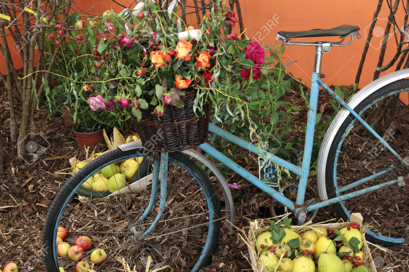 花を運ぶ古い自転車 の写真素材 画像素材 Image