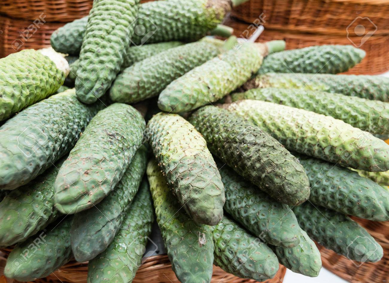 Leckere Und Susse Exotische Fruchte Des Monstera Deliciosa Namens Ananas Banane Oder Ananas Banane In Madeira Anzeige Der Reifen Fruchte Auf Dem Lokalen Markt Sicher Zu Essen Wenn Die Frucht Reif Ist Giftig Und