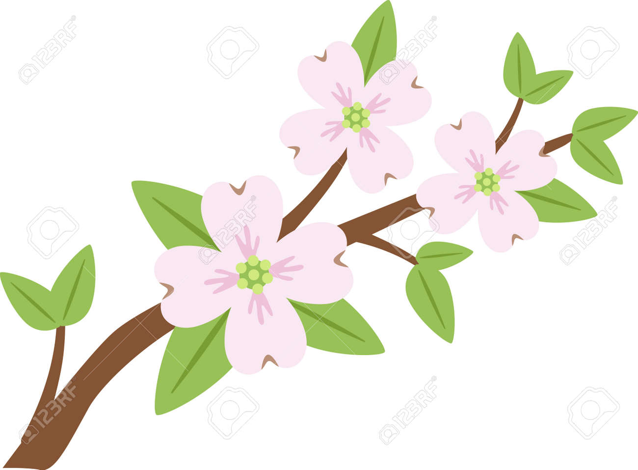 美しいあなた庭与えるし 石けり遊びによって設計されたこのハナミズキ花でカラフルですタッチ のイラスト素材 ベクタ Image