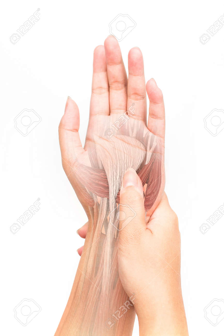 手の筋肉痛 の写真素材 画像素材 Image 手の筋肉痛 の写真素材 画像素材 Image