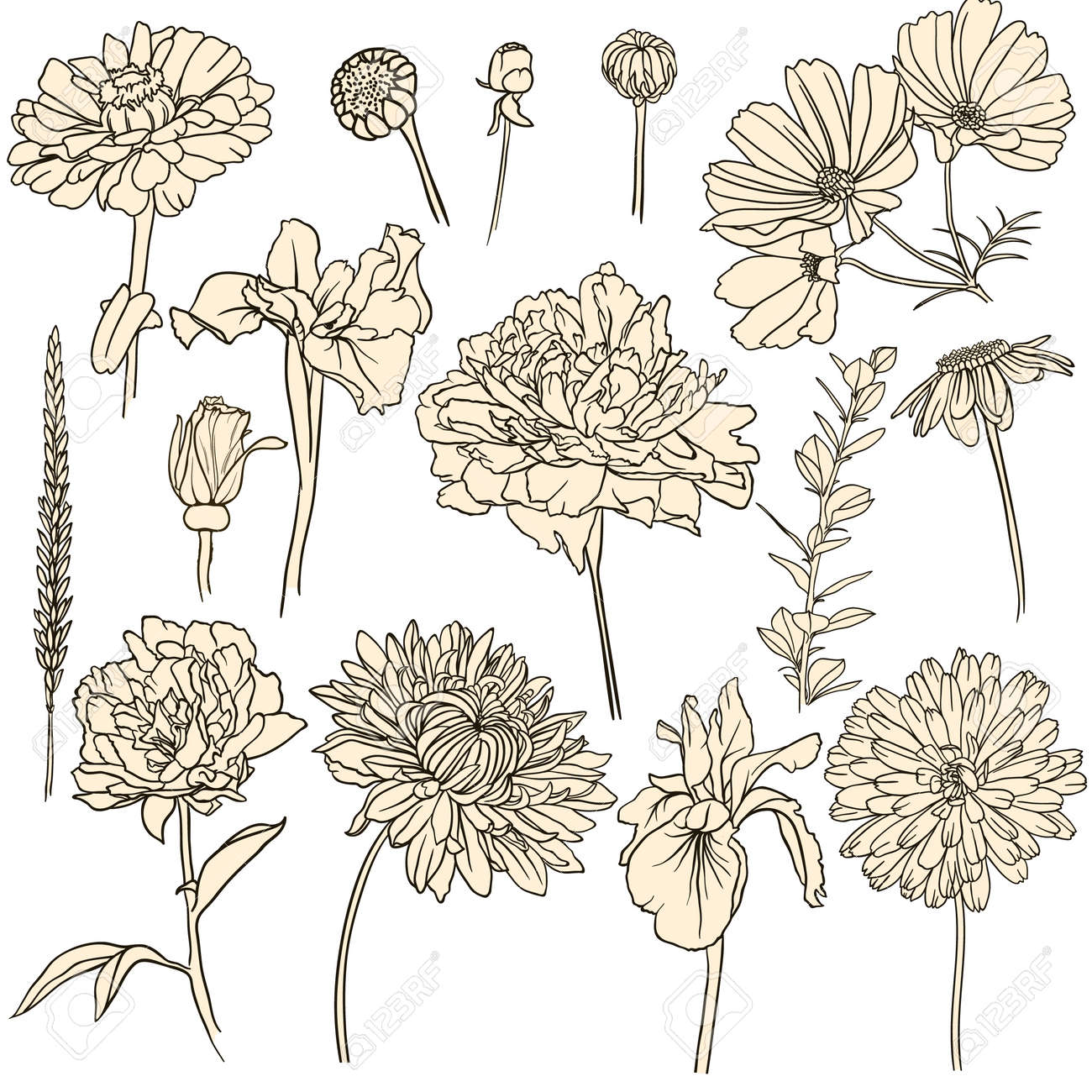 set of hand drawn