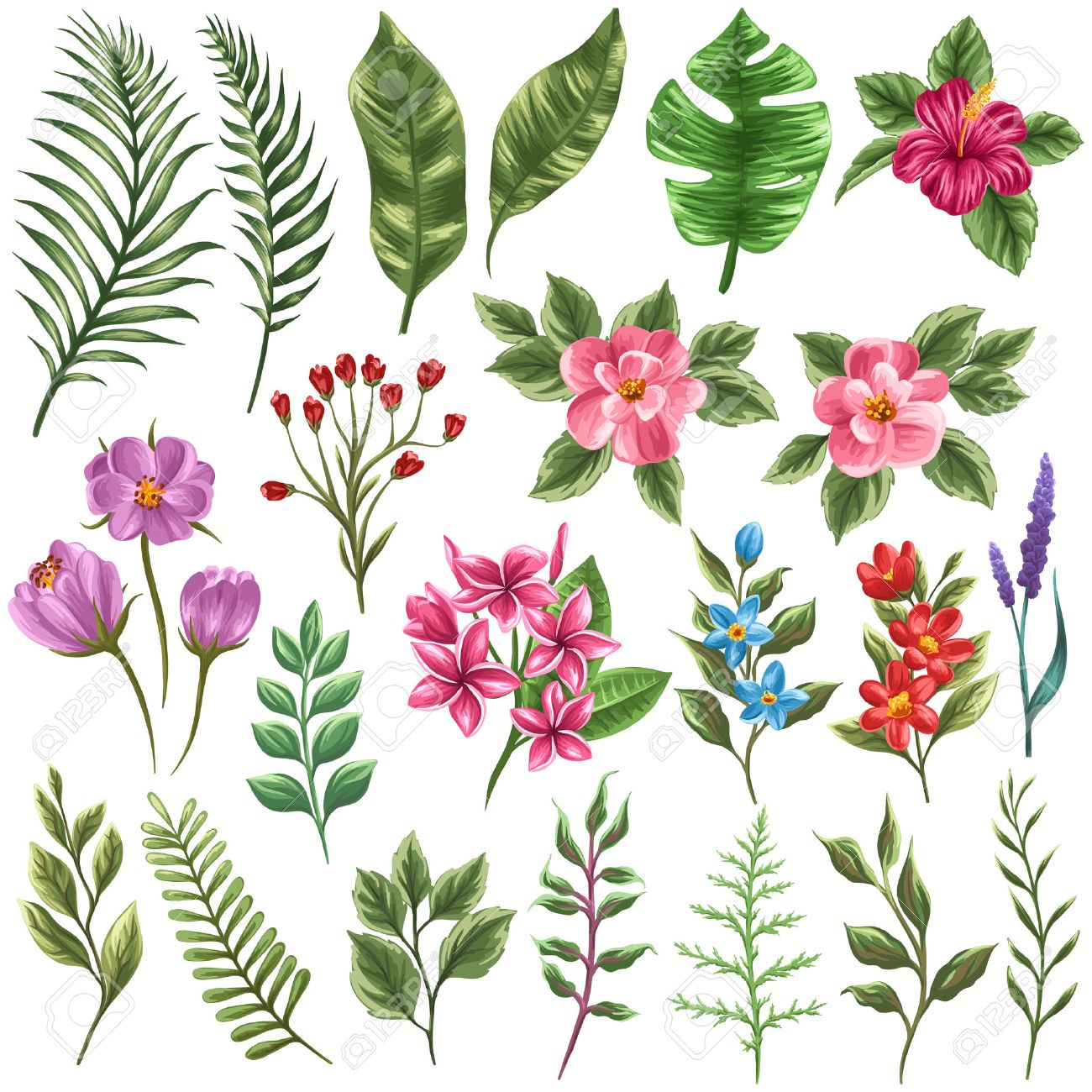set of traditional and tropical flowers and leaves royalty free