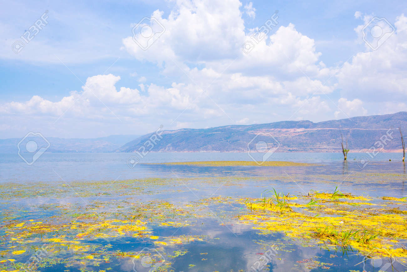 etiam-dictum-ipsum-a-felis