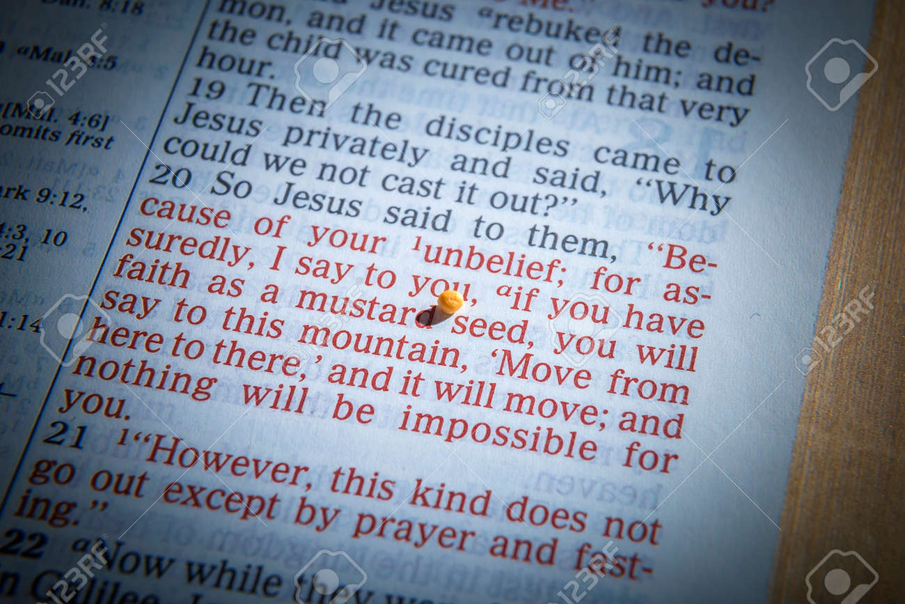 Sementes De Mostarda Em Uma Pagina Da Biblia Aberta Ilustrando O Versiculo Se Voce Tem Fe Tao Pequena Quanto Uma Semente De Mostarda Mateus 17 20 Fotos Retratos Imagenes Y Fotografia