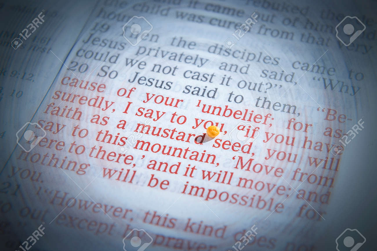 Love Verses Open Bible Famous Love Verses Open Bible Popular Love Verses Open Bible Love Verses Open Bible Famous Love Verses Open Bible Popular Love Verses Open Bible