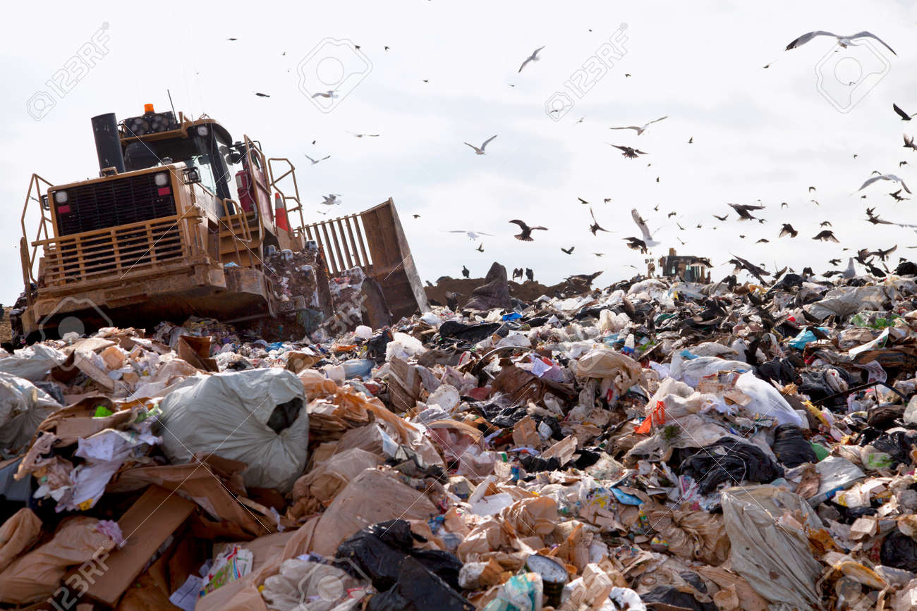 Truck working in landfill with birds looking for food - 25116015 Truck working in landfill with birds looking for food - 25116015