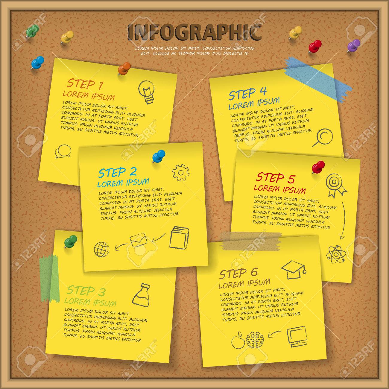 education infographic template design