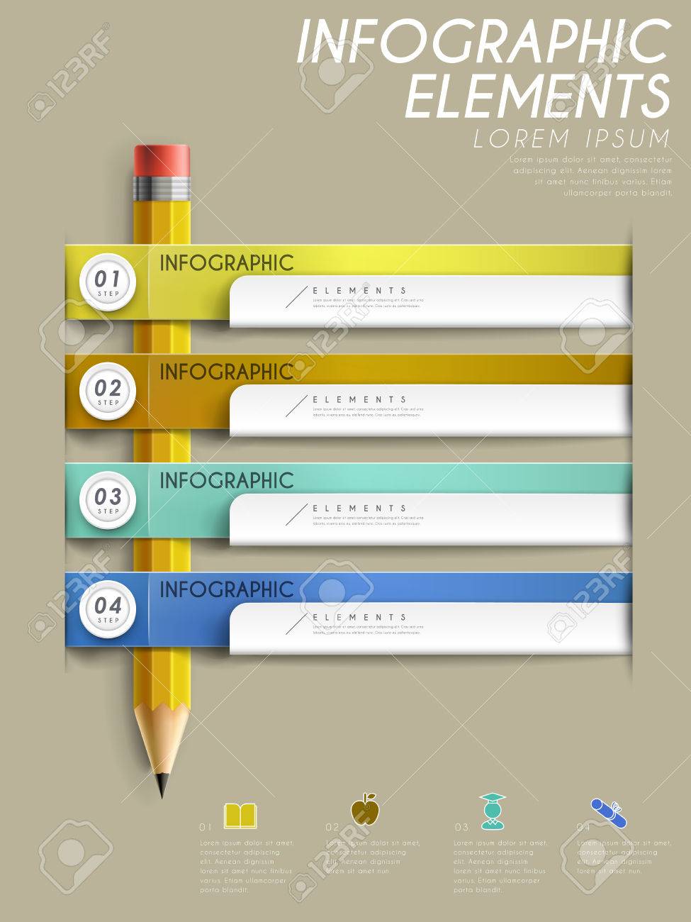 education infographic template design