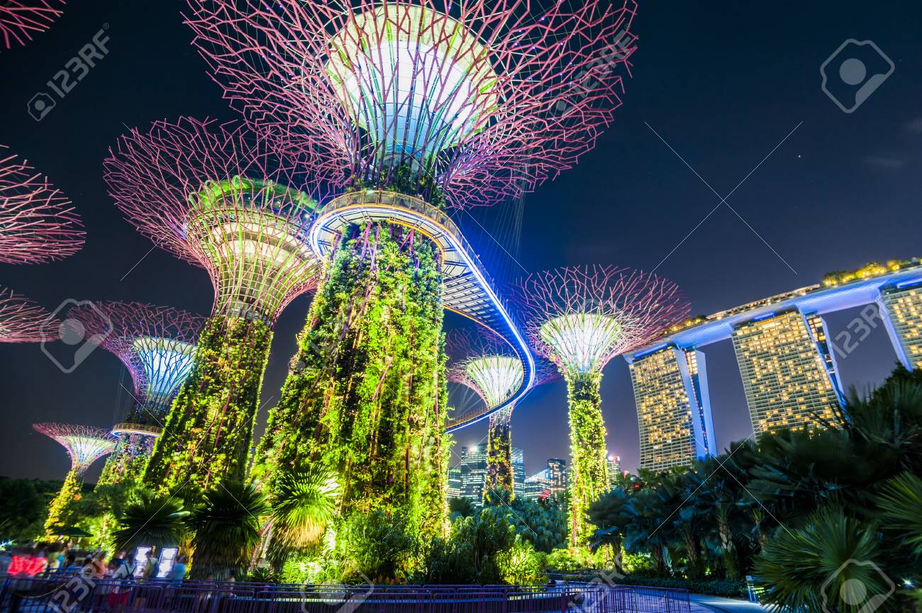 Supertree grove at garden by the bay in singapore