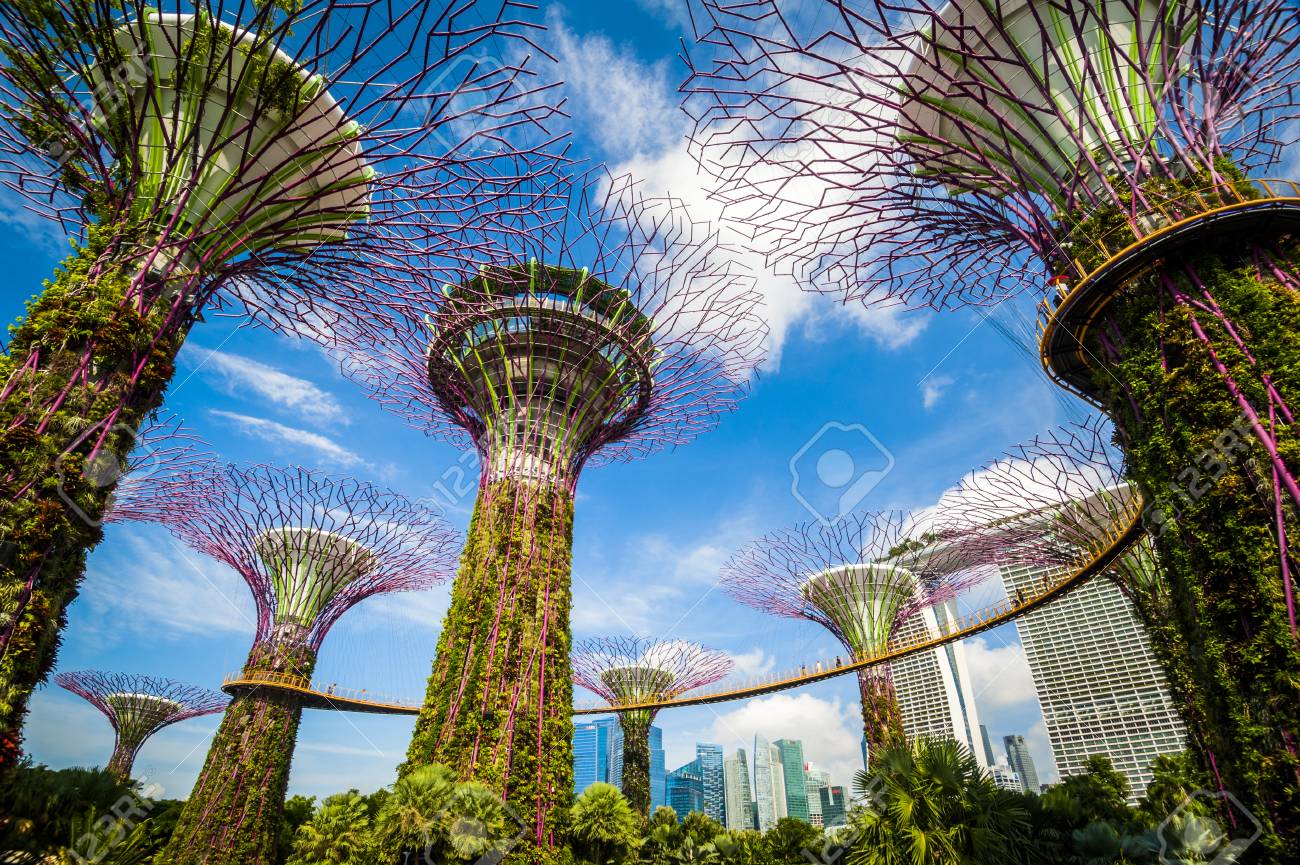 Supertree grove at garden by the bay in singapore