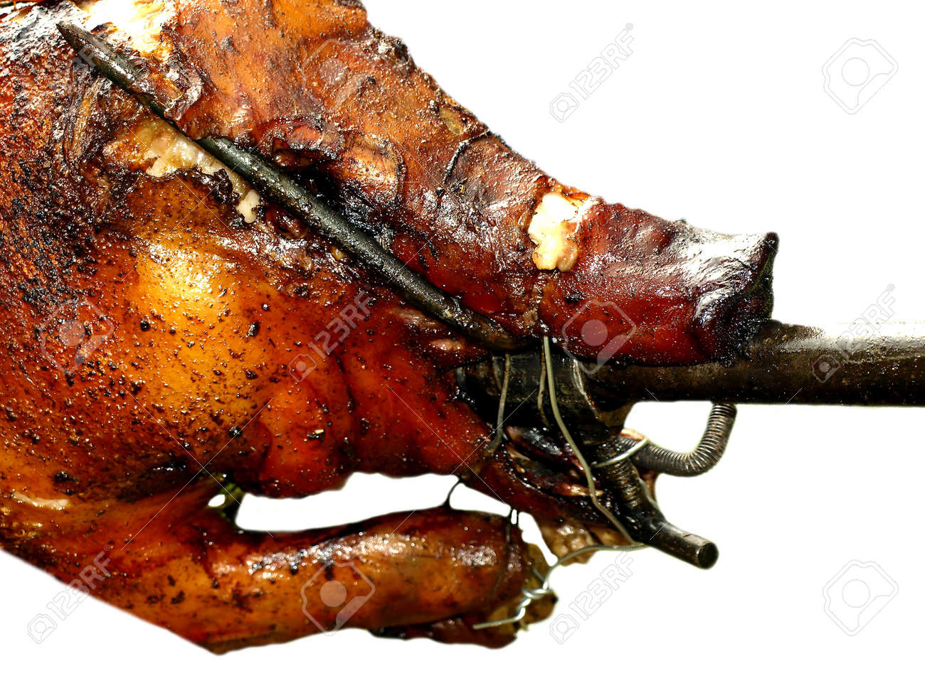 etiam-dictum-ipsum-a-felis