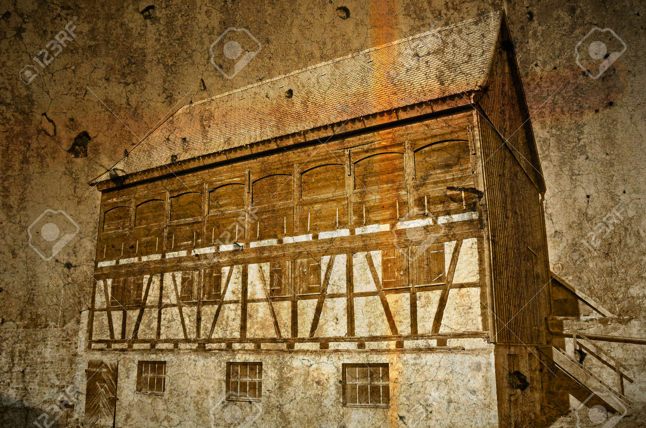 etiam-dictum-ipsum-a-felis