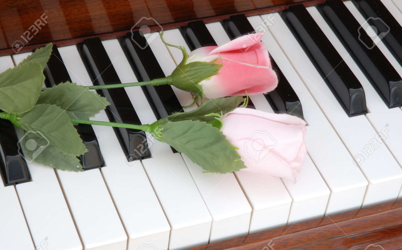 Piano And Flowers Stock Photo Picture And Royalty Free Image Image 7370