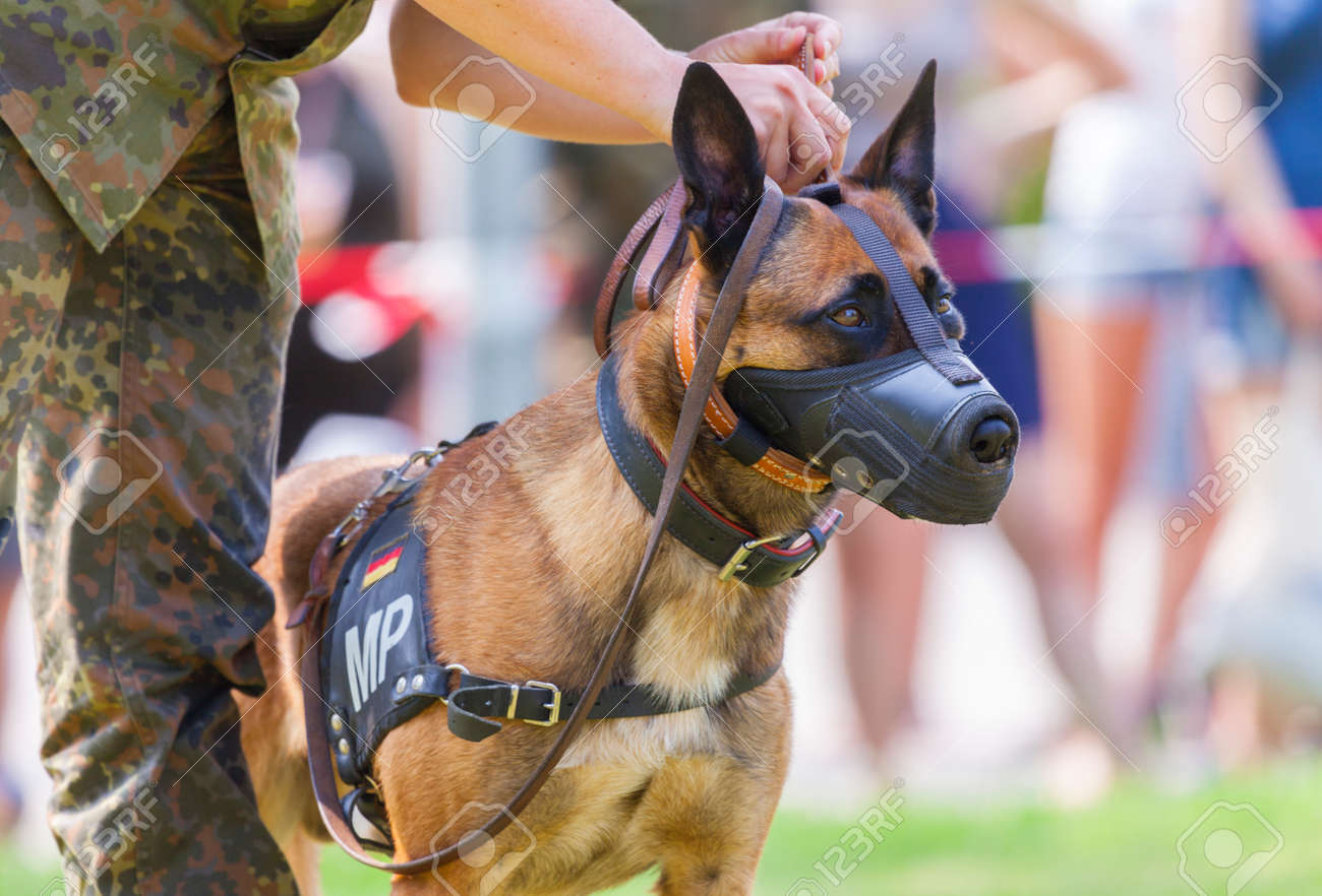 police muzzle