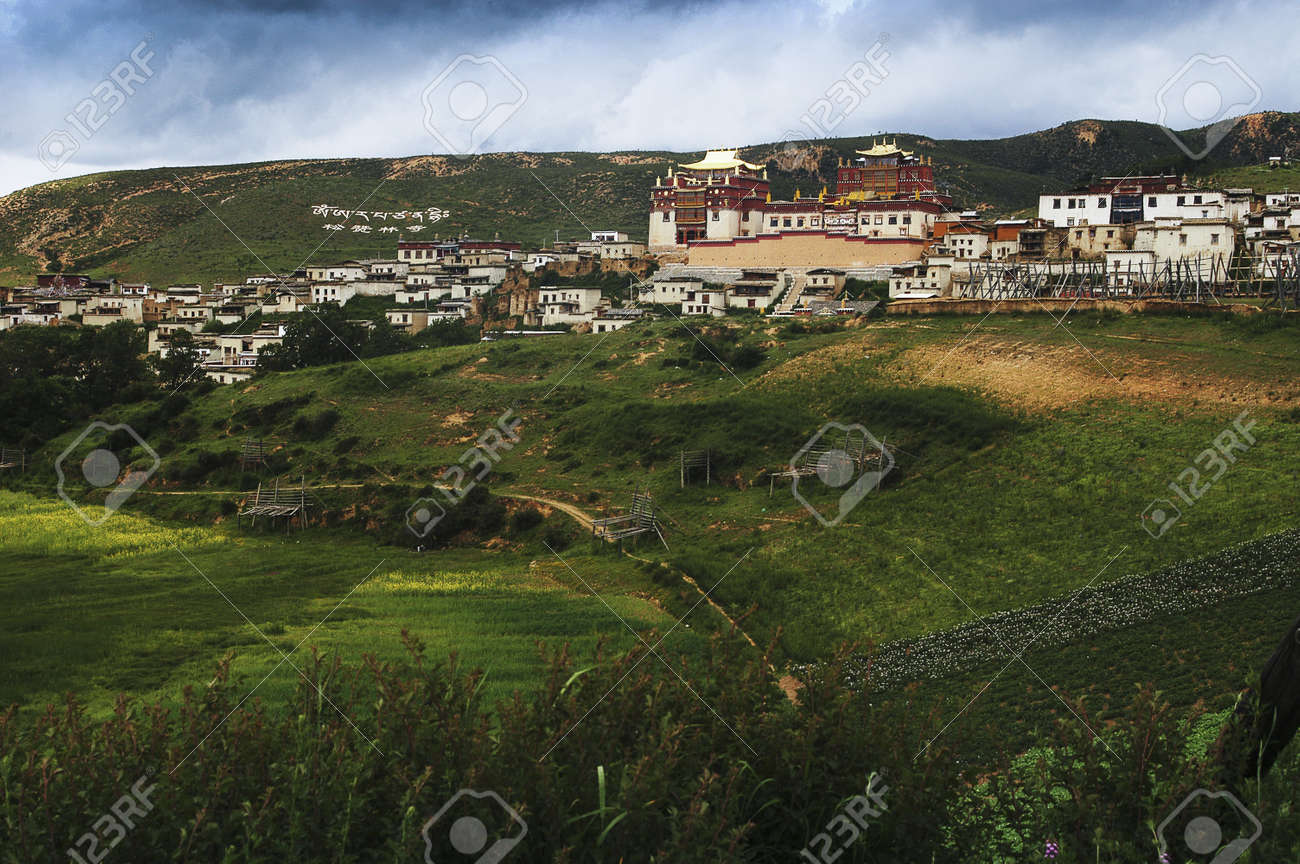 etiam-dictum-ipsum-a-felis