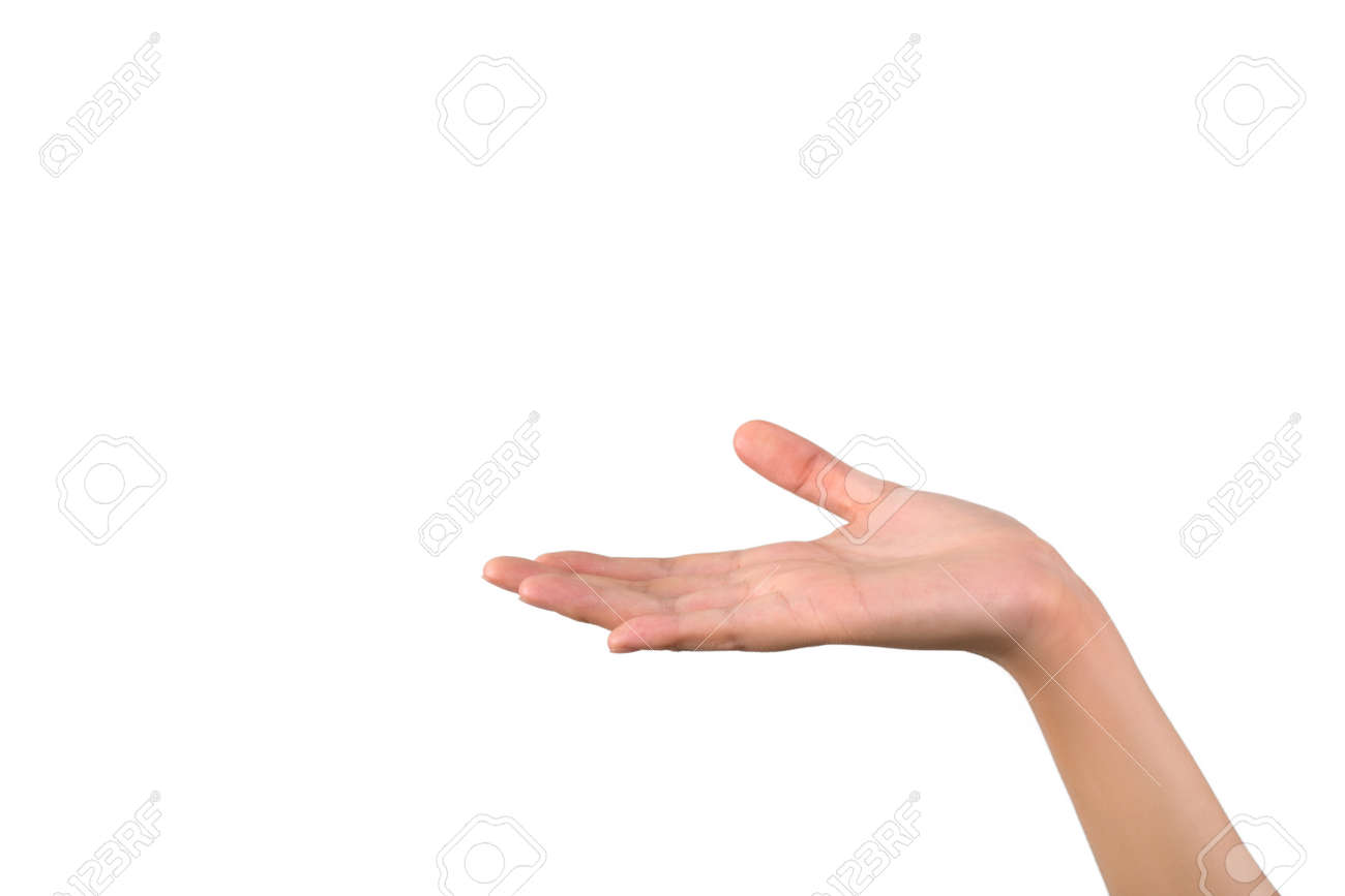 美しい花の画像 最新手のひら イラスト 右手