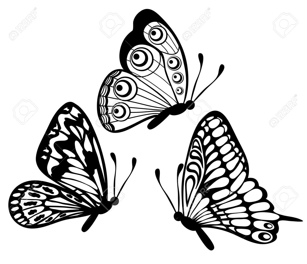 set of Beautiful black and white butterfly isolated on white - 18567941 set of Beautiful black and white butterfly isolated on white - 18567941