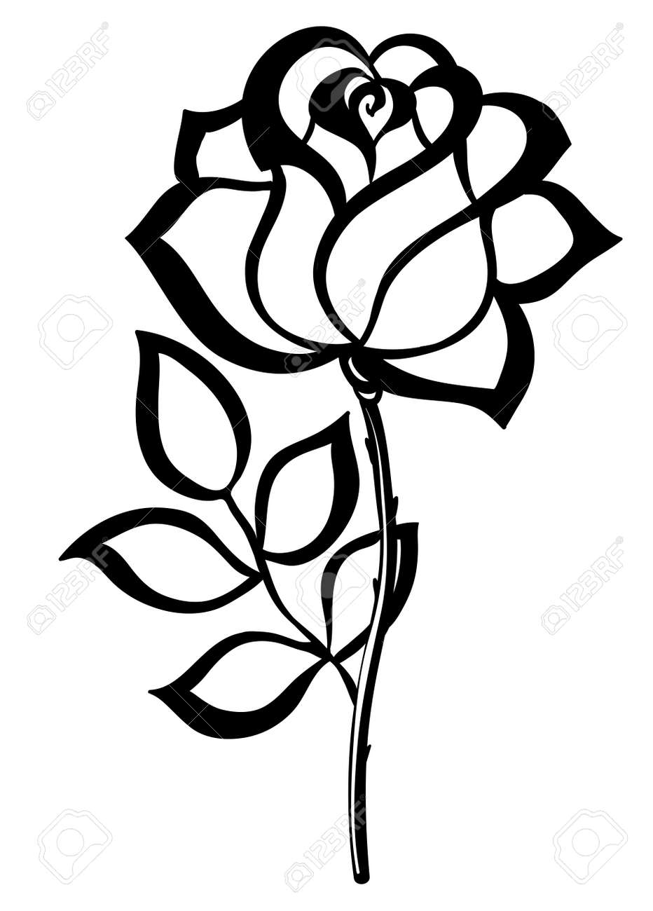 black silhouette outline rose, isolated on white Many similarities in the profile of the artist - 22032847 black silhouette outline rose, isolated on white Many similarities in the profile of the artist - 22032847