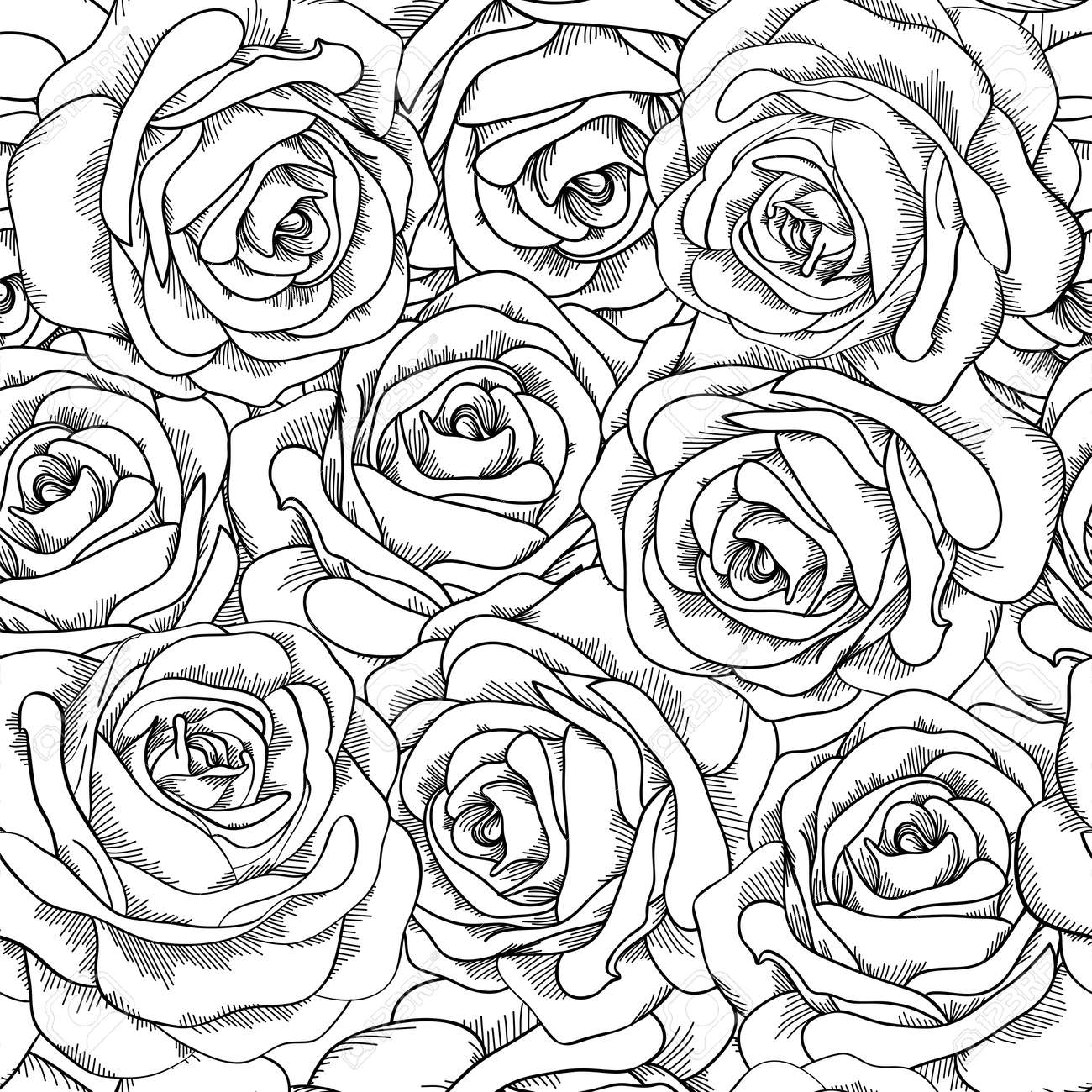 Black and white seamless background. Roses hand-drawn. - 24167875 Black and white seamless background. Roses hand-drawn. - 24167875