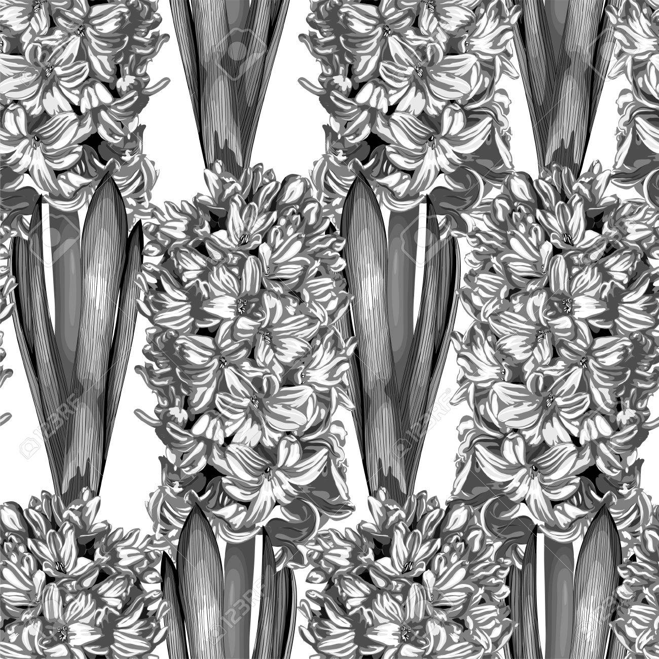 ヒヤシンスのシームレスな背景を白黒 黒と白 水彩で描くの効果 グリーティング カードと招待状結婚式 誕生日 バレンタインデー 母の日 その他の季節の休日のためのデザイン のイラスト素材 ベクタ Image