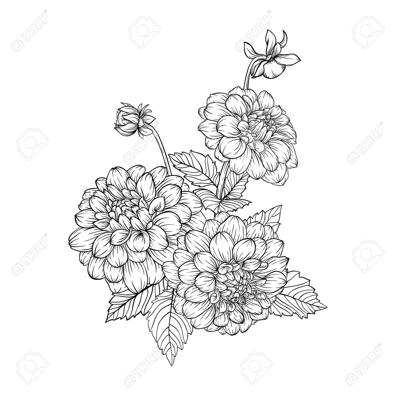 Beau Bouquet Monochrome Noir Et Blanc Dahlia Isole Sur Fond Dessine A La Main La Conception Carte De Voeux Et Invitation Du Mariage Anniversaire Saint Valentin Le Jour De Mere Et D Autres Vacances