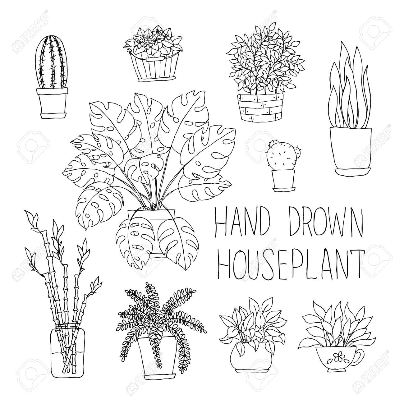 手描きの観葉植物モンステラ 竹 サボテン シダおよび他の落書き観葉植物植木鉢での大きなセット のイラスト素材 ベクタ Image