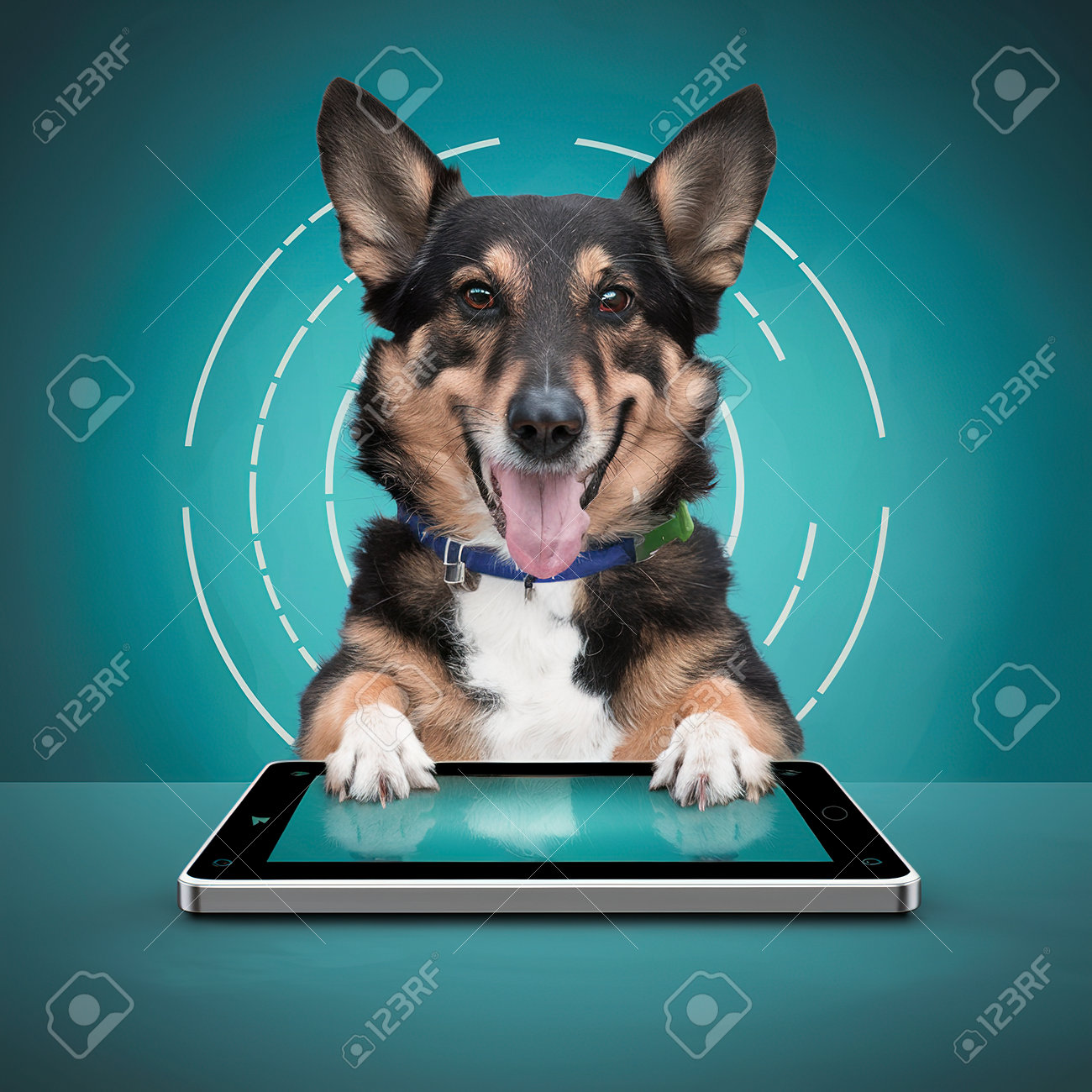 etiam-dictum-ipsum-a-felis