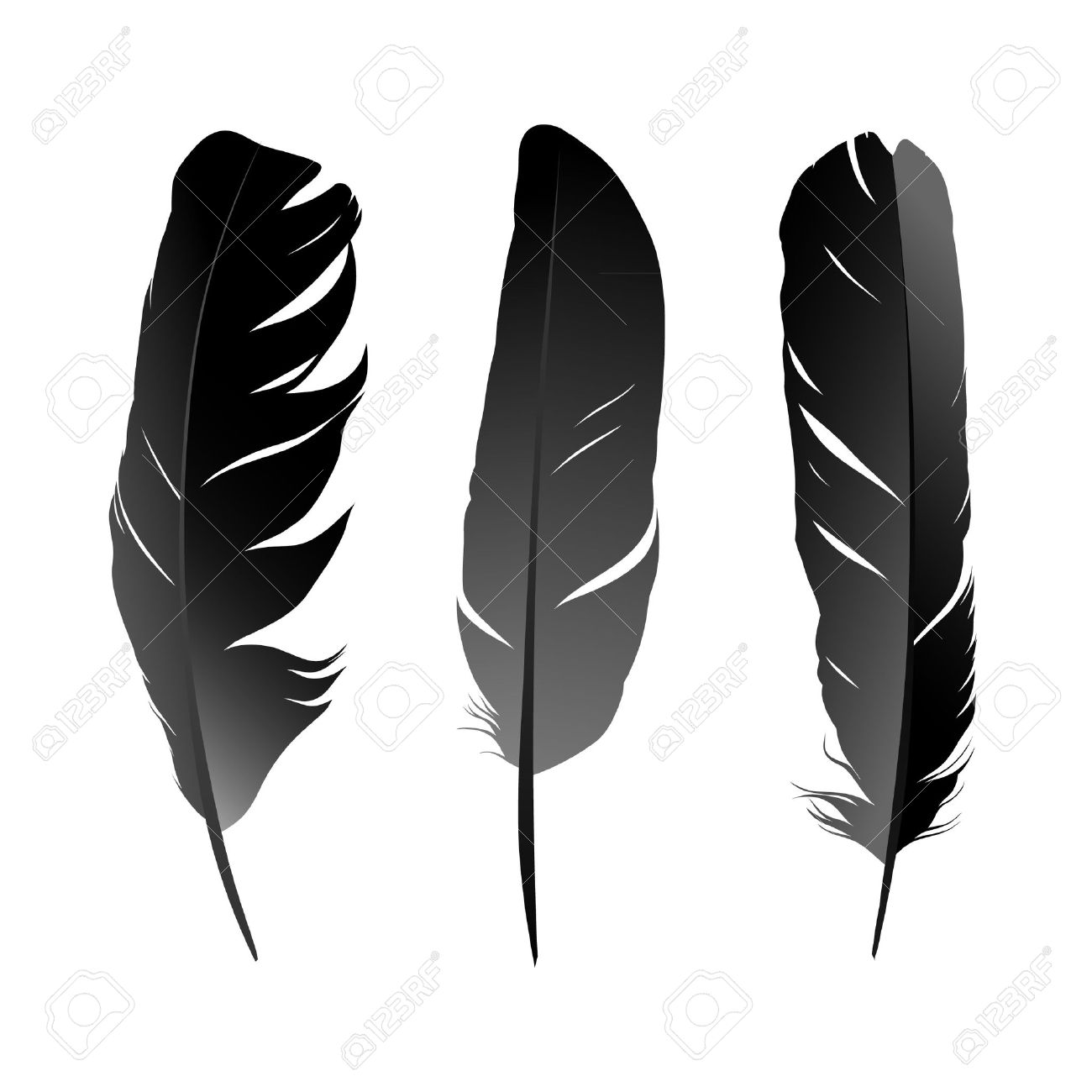 白い背景に黒の鳥の羽のベクトルを設定 のイラスト素材 ベクタ Image 白い背景に黒の鳥の羽のベクトルを設定 のイラスト素材 ベクタ Image
