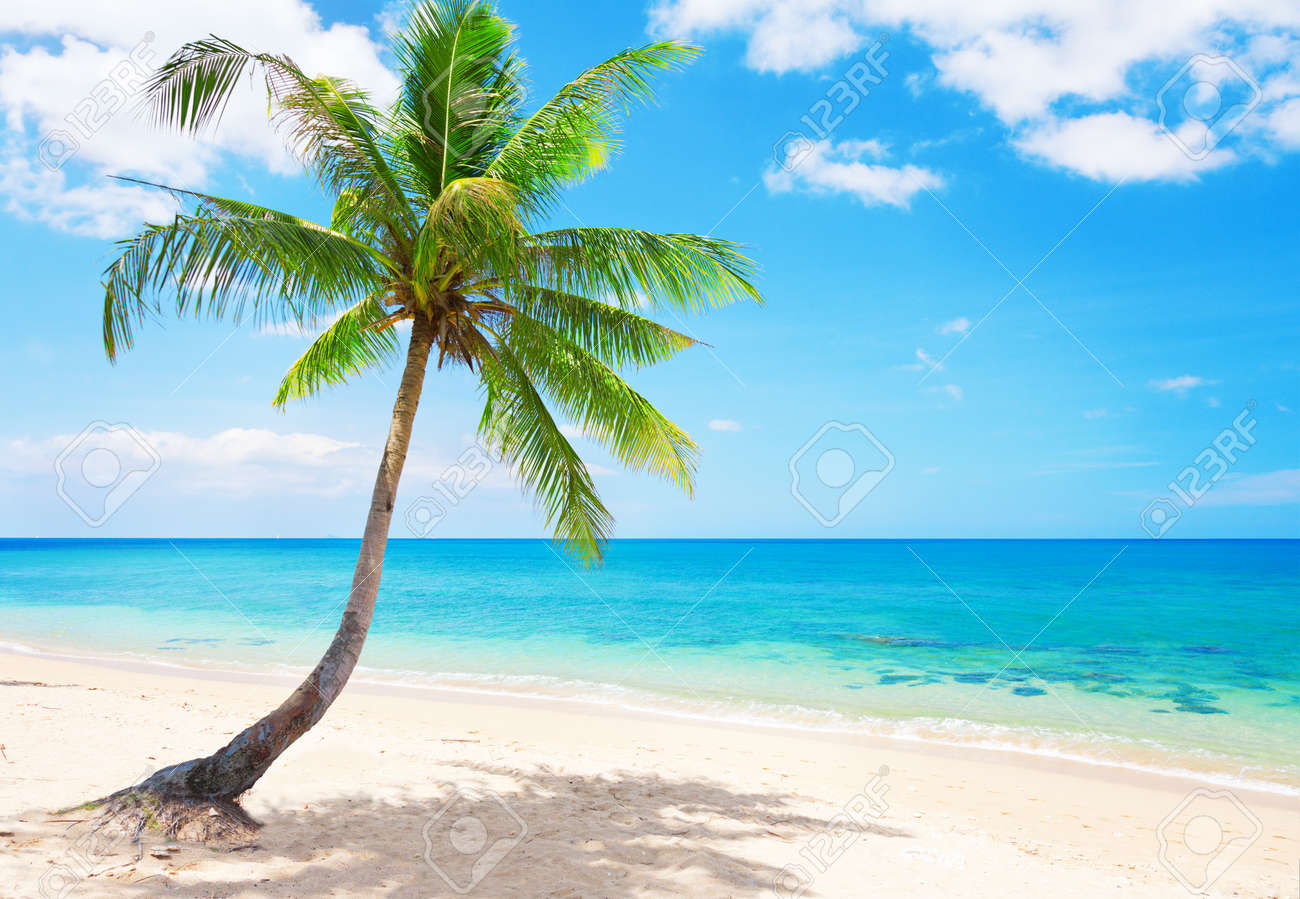 Beautiful Beach With Coconut Palm Koh Lanta Thailand Stock Photo Picture And Royalty Free Image Image