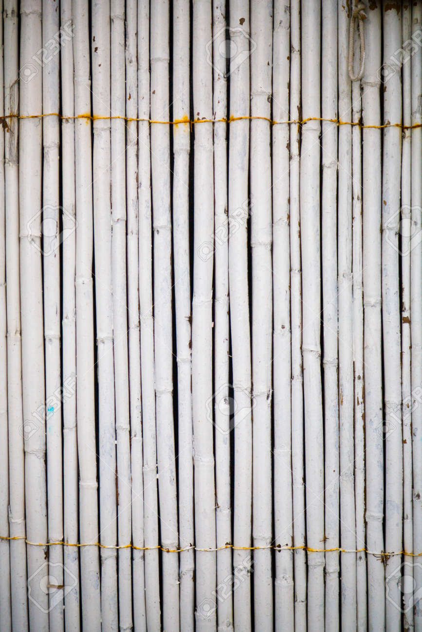 white painted bamboo wall stock photo picture and royalty free