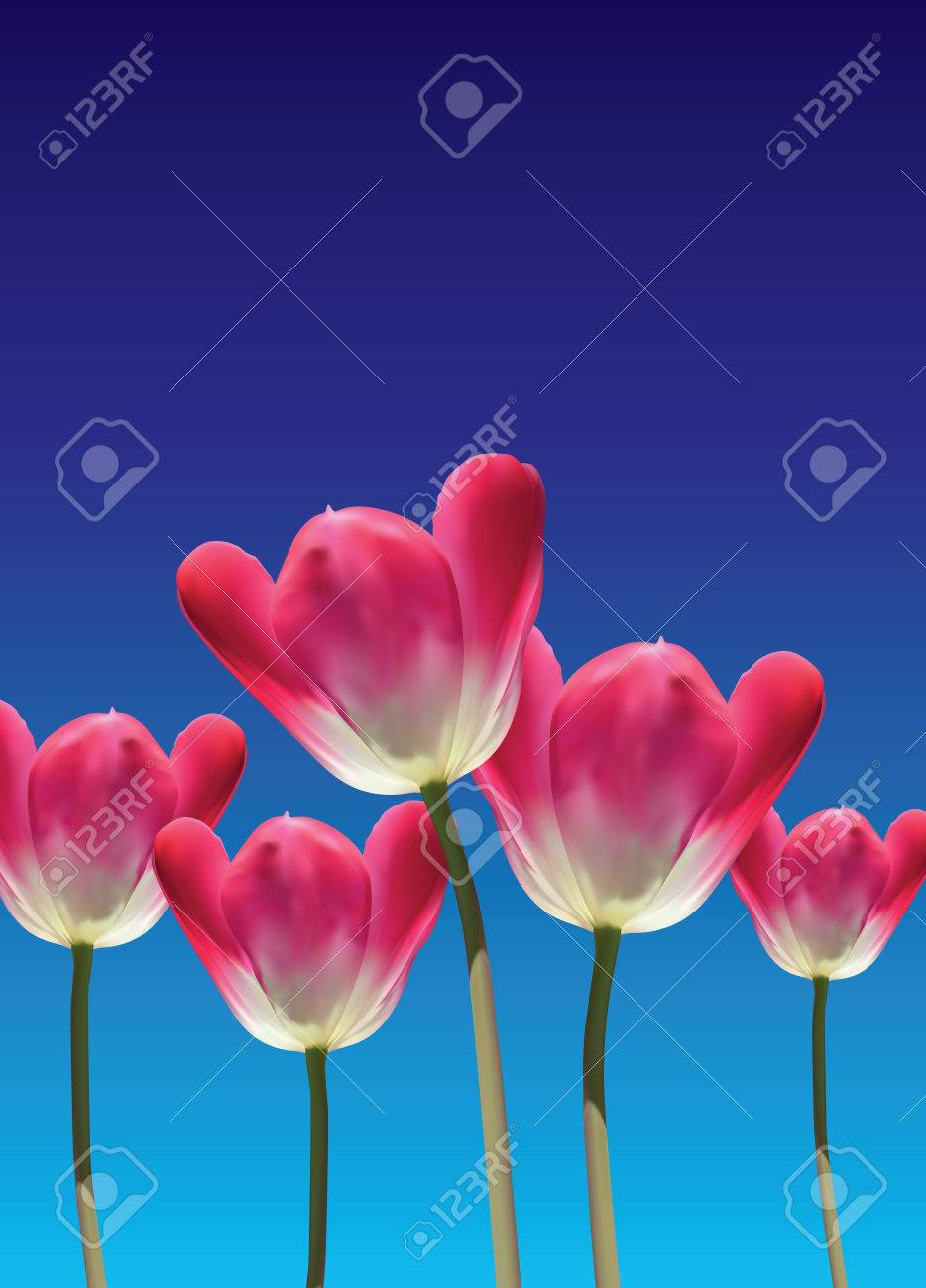 超リアルな 3d ベクトル チューリップ花 完全に編集可能な春と自然青空背景でコピー スペースをテーマにしたイラスト のイラスト素材 ベクタ Image 超リアルな 3d ベクトル チューリップ花 完全に編集可能な春と自然青空背景でコピー スペースをテーマにしたイラスト のイラスト素材 ベクタ Image