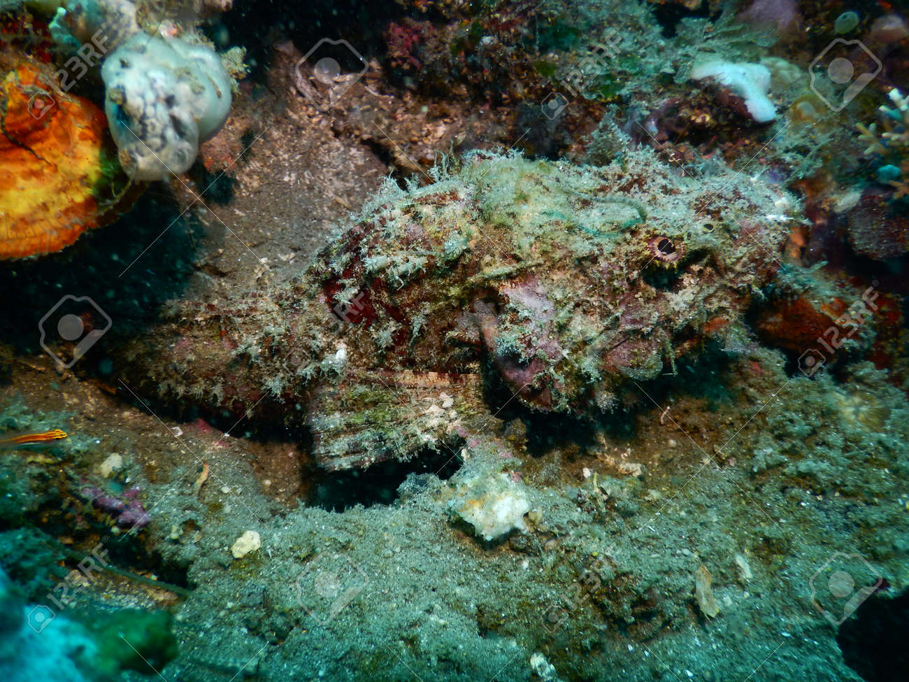 etiam-dictum-ipsum-a-felis