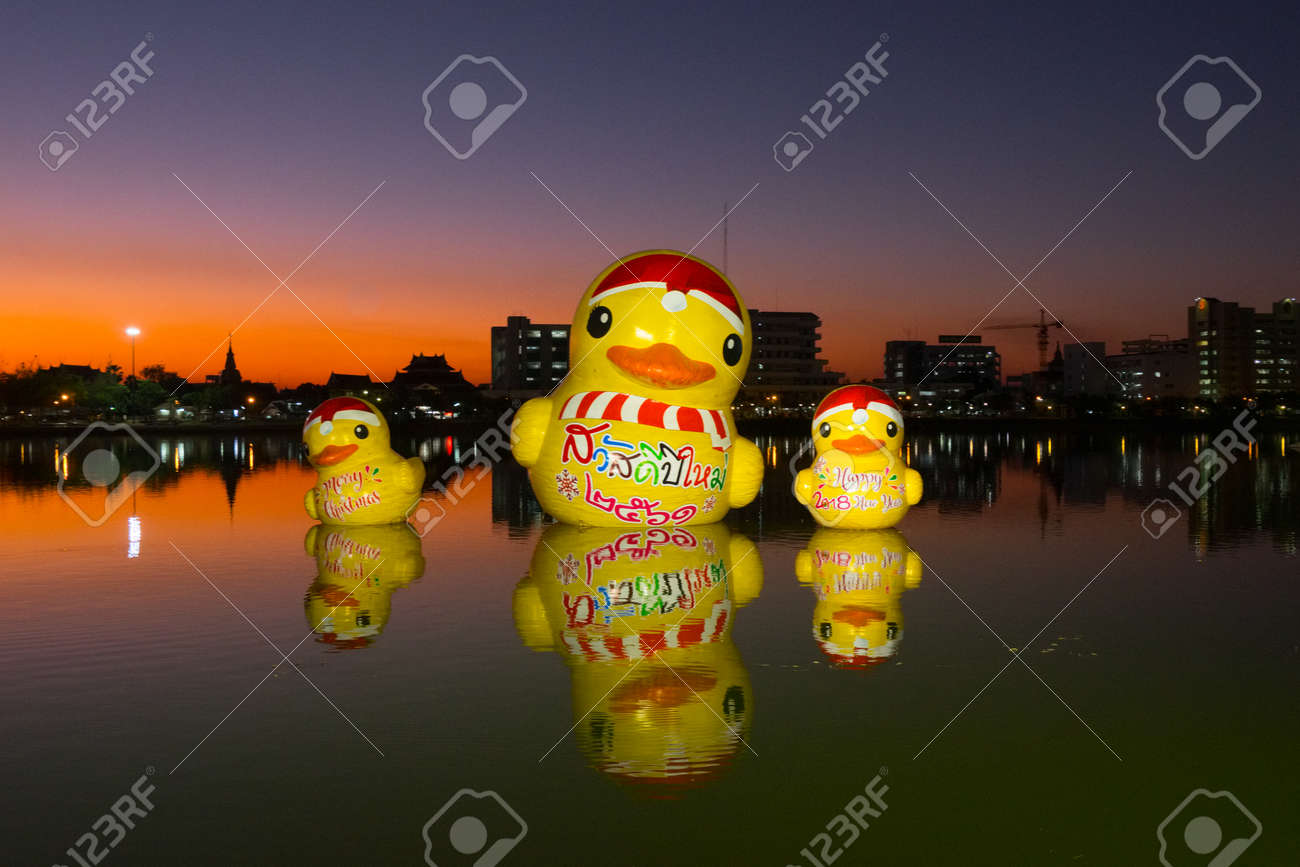 rubber duck floating