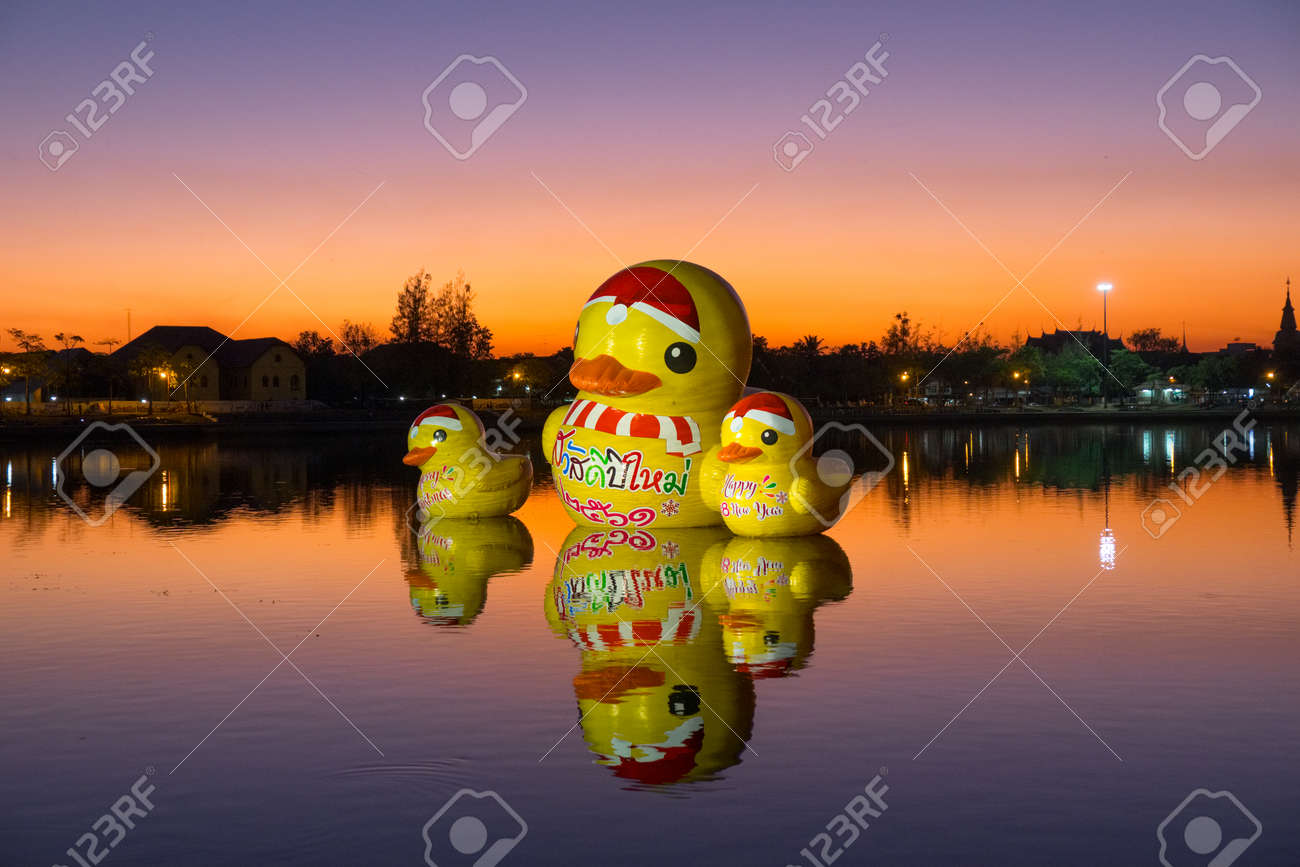 rubber duck floating