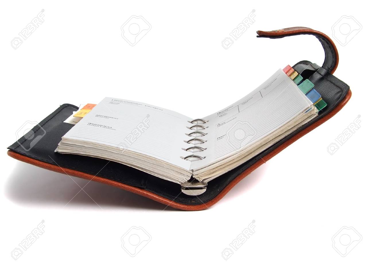 etiam-dictum-ipsum-a-felis