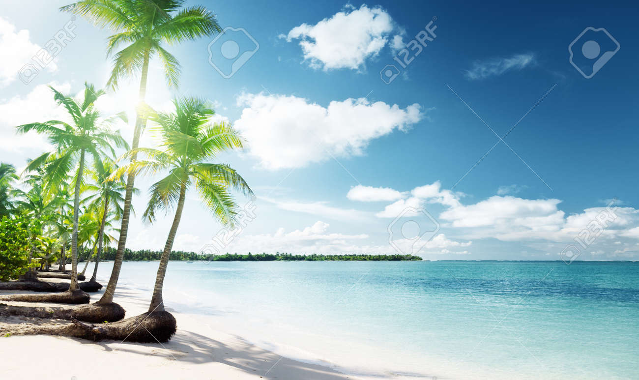 Get Images plages caraibes Free