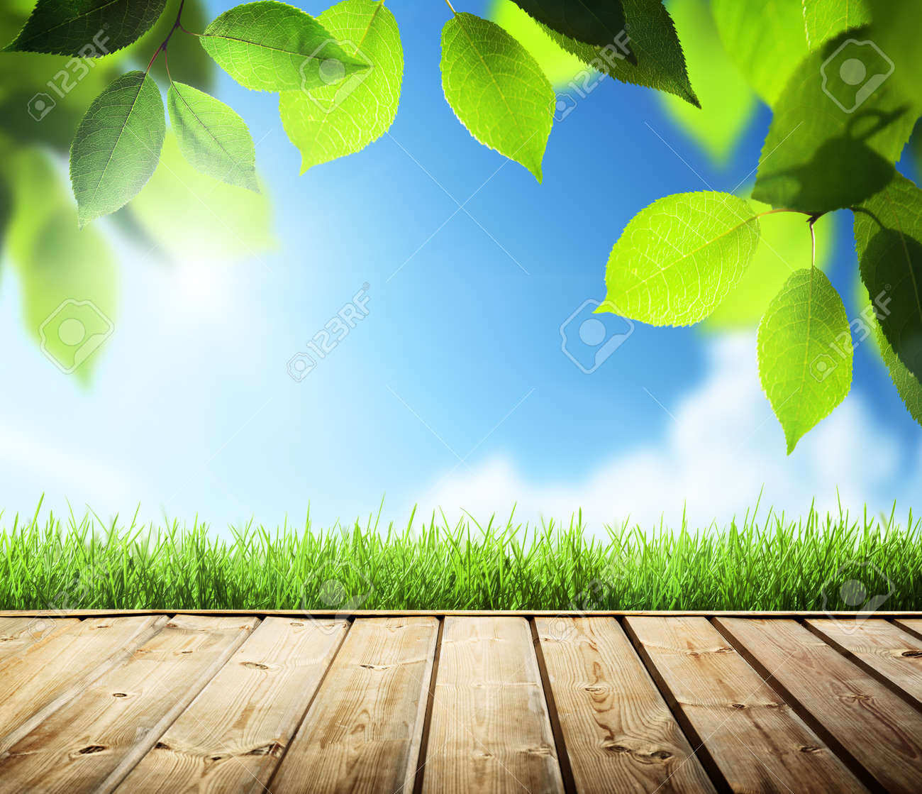 Summer Background With Wooden Surface Stock Photo, Picture and Royalty Free  Image. Image 20434161., image size:1300x1119