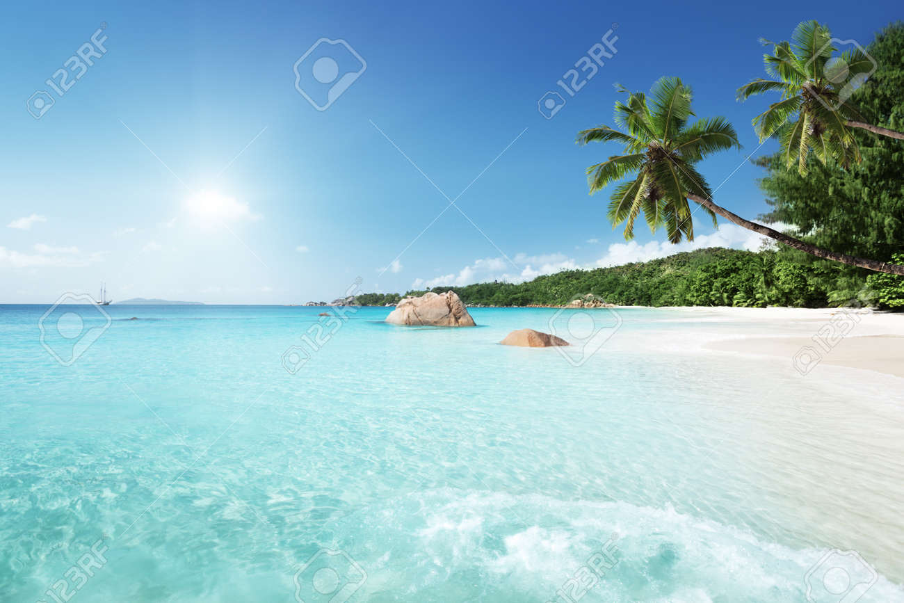 Anse Lazio beach at Praslin island, Seychelles - 48672462 Anse Lazio beach at Praslin island, Seychelles - 48672462