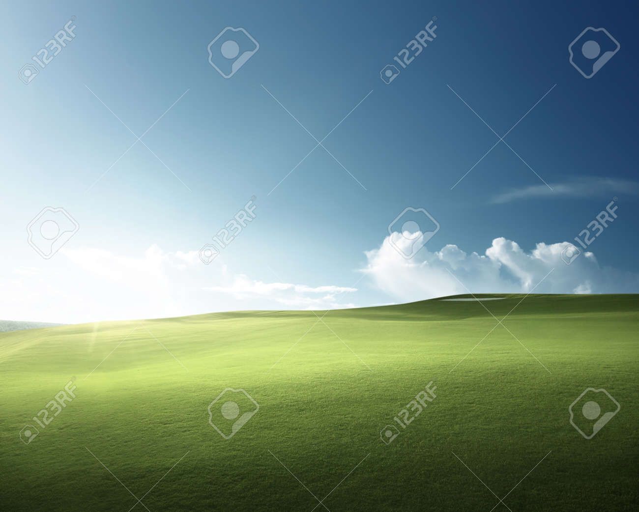 spring grass, golf field - 106587968 spring grass, golf field - 106587968