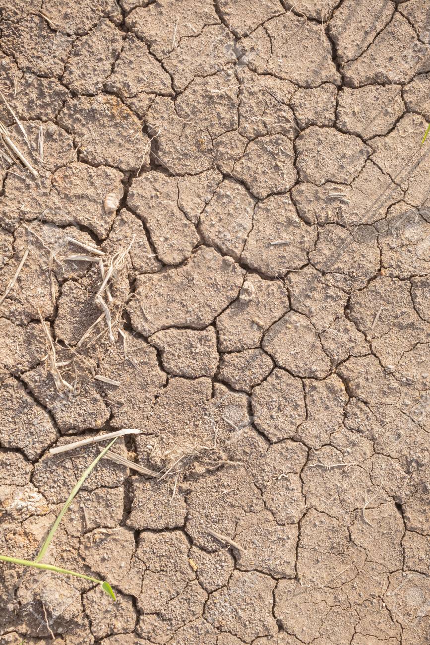 O Impacto Do Deficit Hidrico Do Solo Seco No Verao Em El Nino La Nina Tailandia Fotos Retratos Imagenes Y Fotografia De Archivo Libres De Derecho Image 70987123