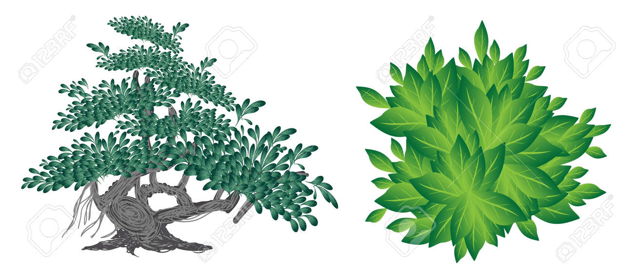 イラスト一連の美化の木のシンボルまたは等尺性の木と植物 植物