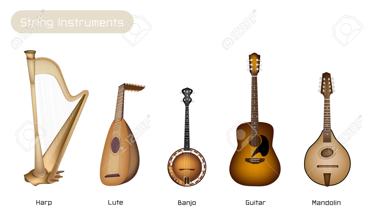 types of instruments