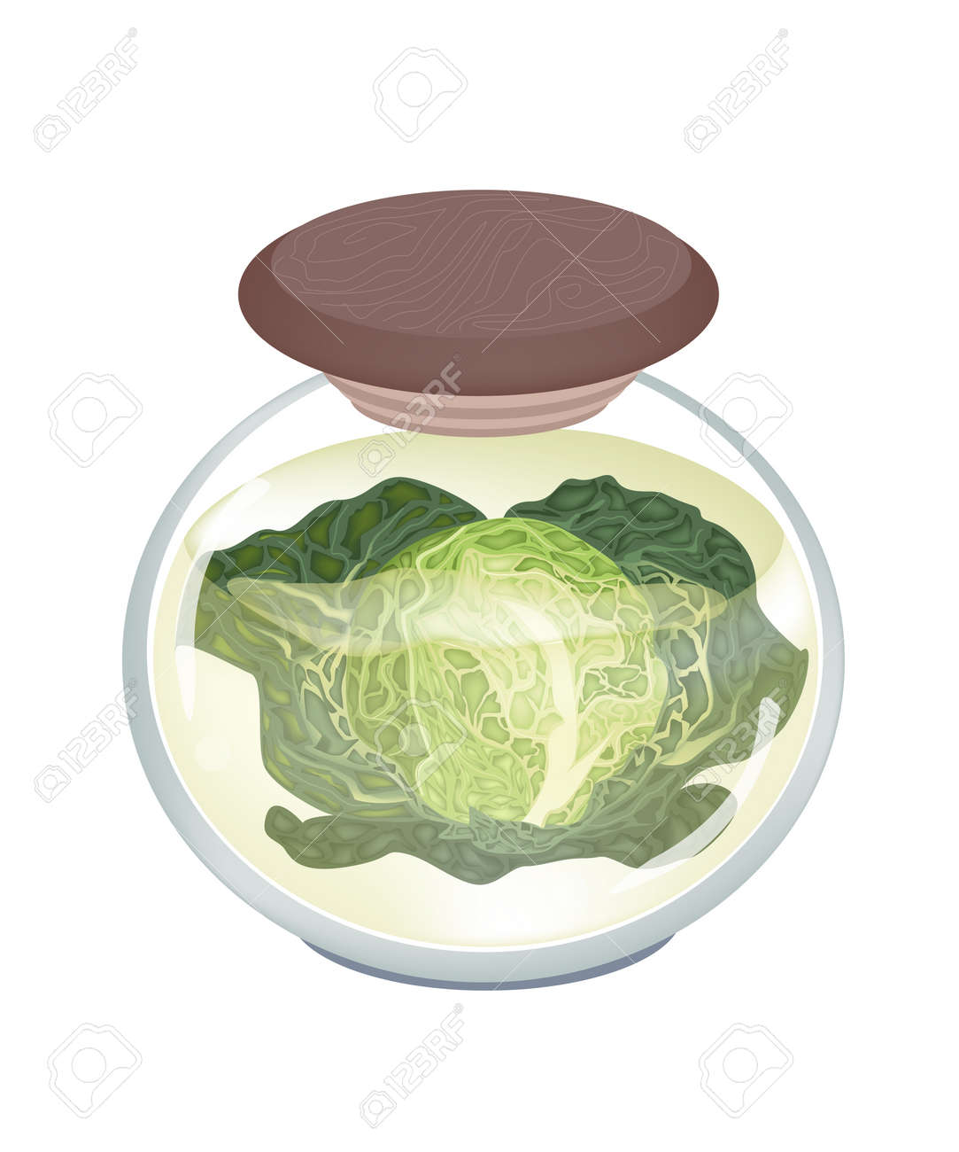 野菜を酢の塩水に漬物サボイ キャベツと白い背景で隔離されたガラスの瓶で塩のイラスト のイラスト素材 ベクタ Image 野菜を酢の塩水に漬物サボイ キャベツと白い背景で隔離されたガラスの瓶で塩のイラスト のイラスト素材 ベクタ Image